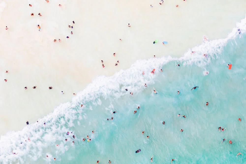 Bondi Wave