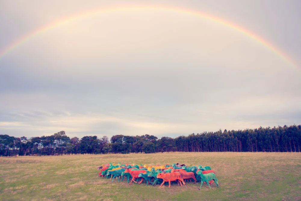 Double Rainbow