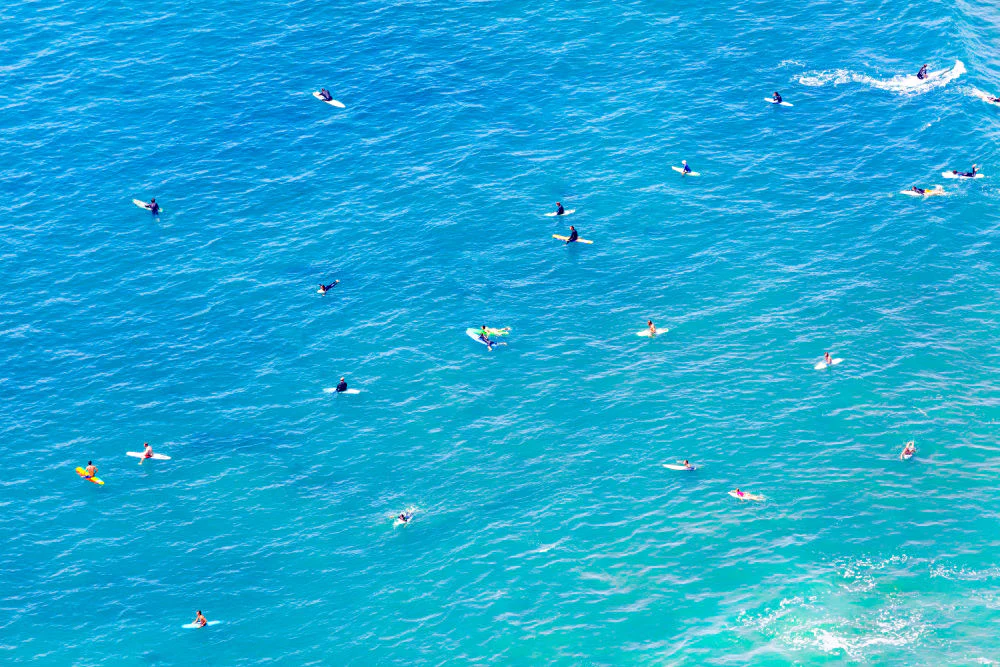 Ocean Beach Surfers