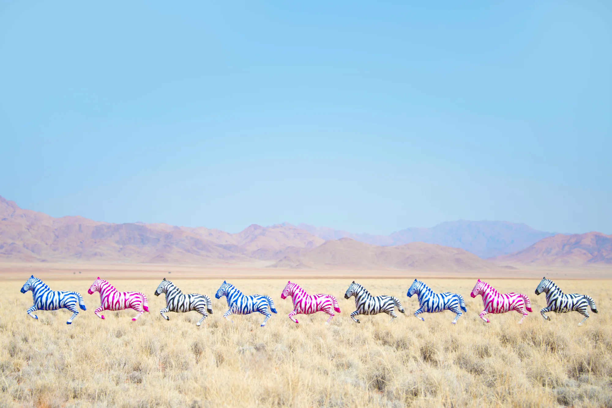 Rainbow Zebras Balloons
