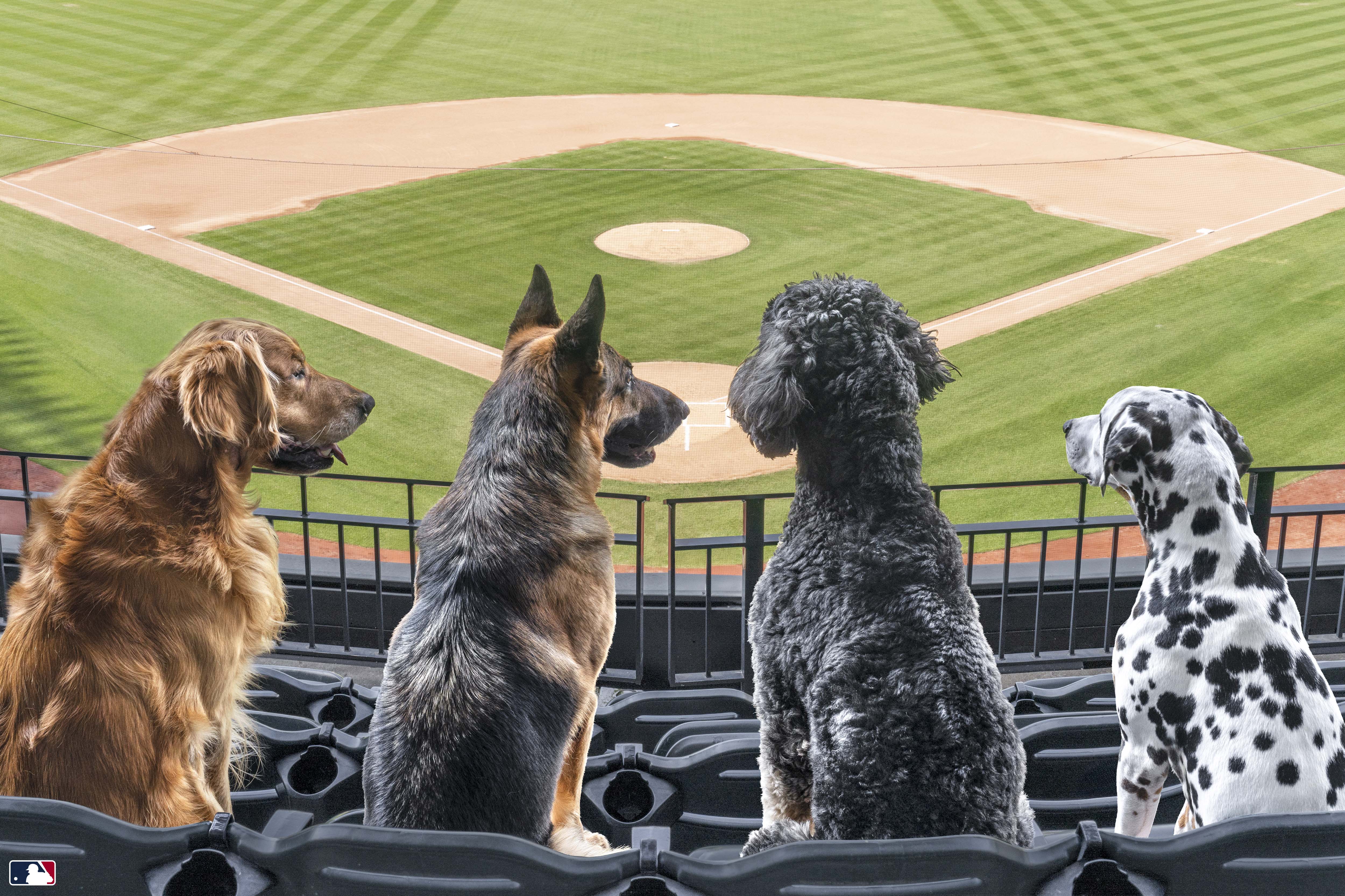 Seventh-Inning Stretch