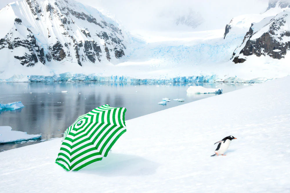 The Beach Umbrella, Antarctica