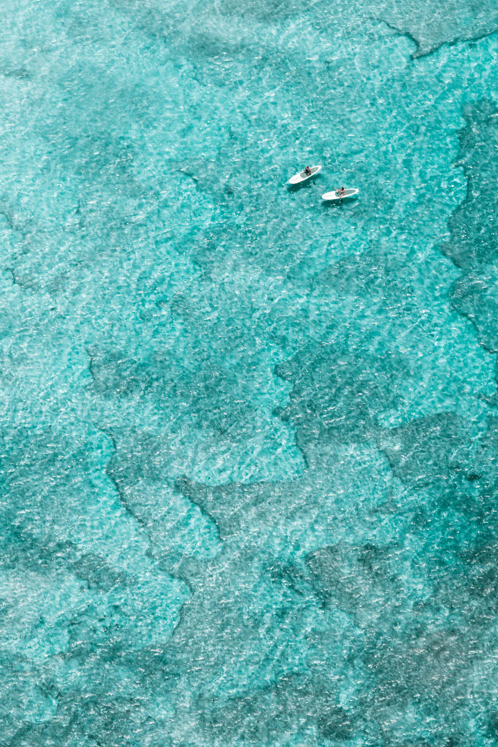 The Paddle Boarders Vertical, St. Barths