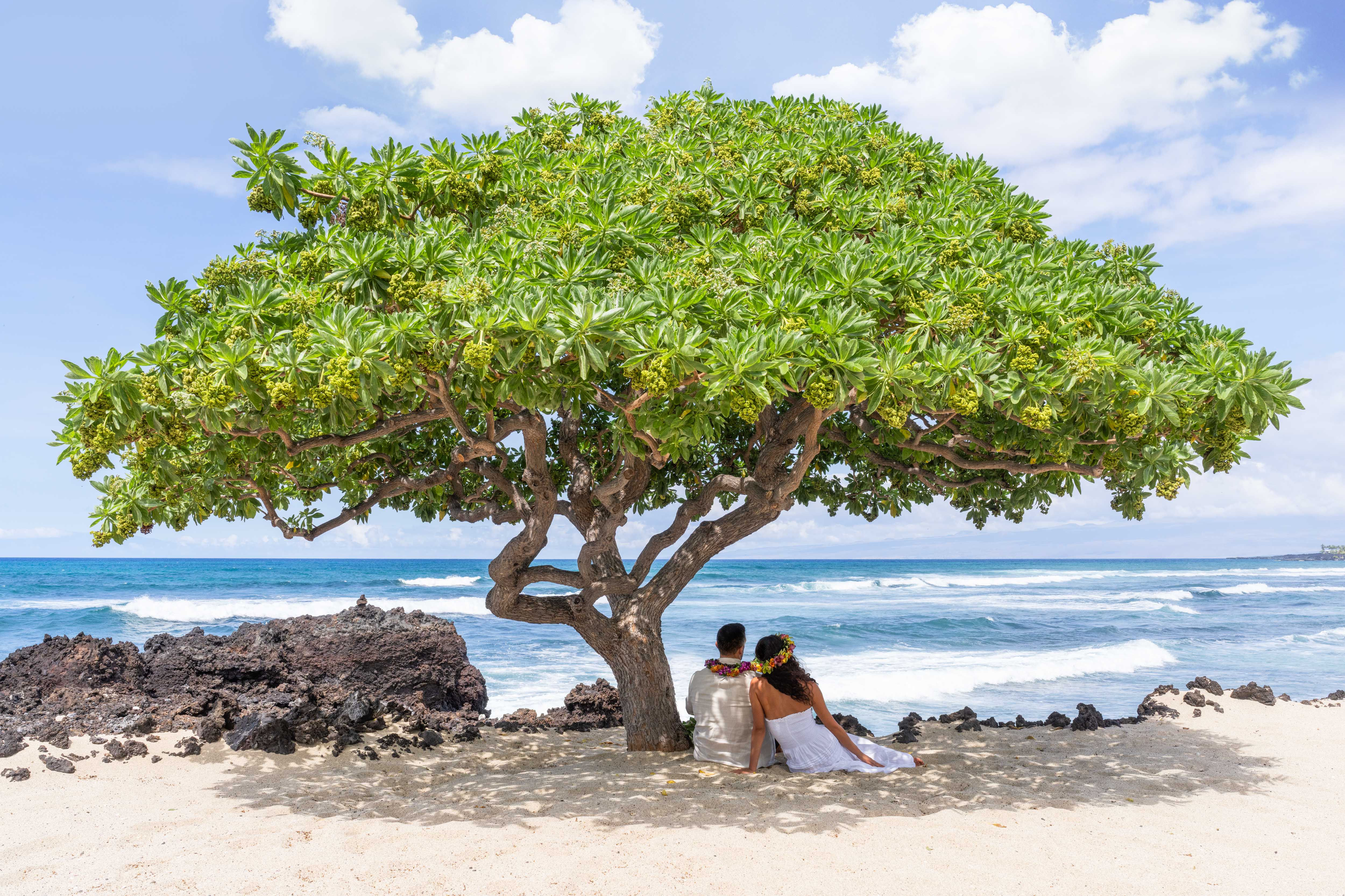 The Wedding Tree, Four Seasons Hualalai, Hawai’i