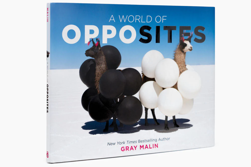 A World of Opposites - Image 2